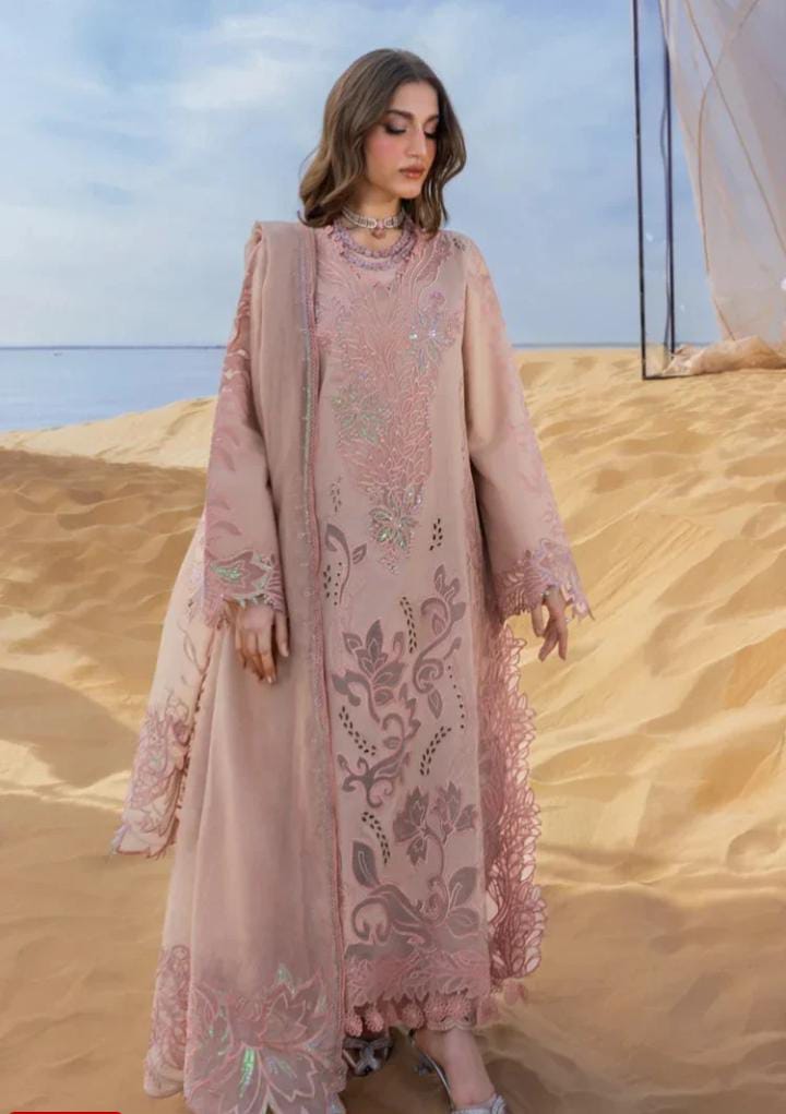 Dhanak 3-Piece Applique Embroidered Suit with Khadi Net Pallu Embroidered Dupatta (Art: 7005)