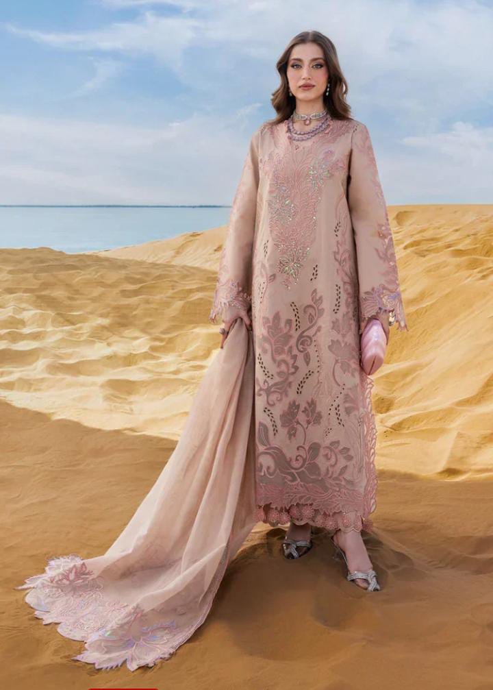 Dhanak 3-Piece Applique Embroidered Suit with Khadi Net Pallu Embroidered Dupatta (Art: 7005)
